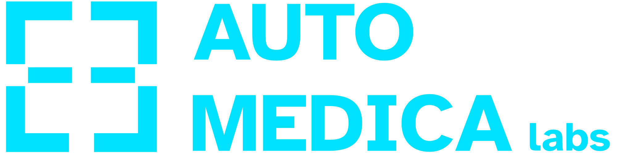 AUTO MEDICA Labs Logo